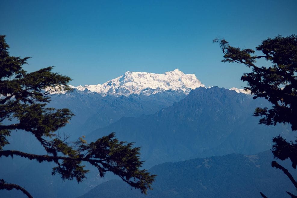 Sprache und Kommunikation