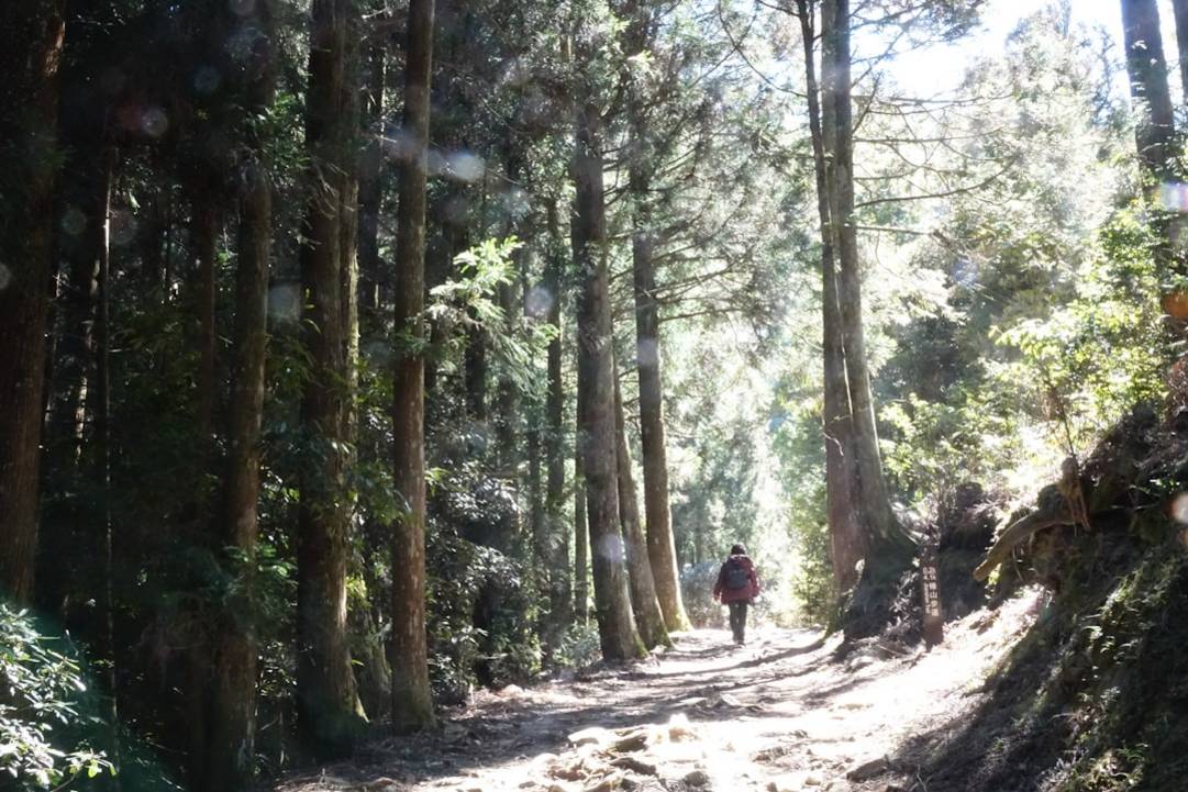 Tagesausflüge von Tana Toraja
