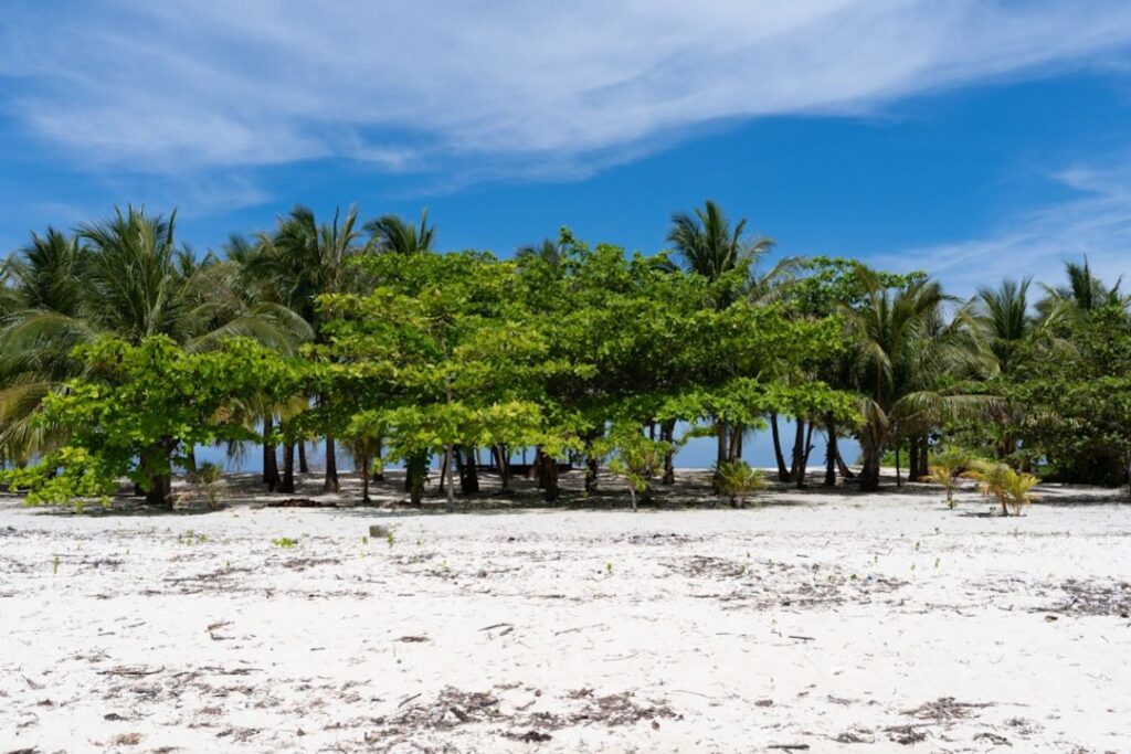 -Philippinen schnorcheln