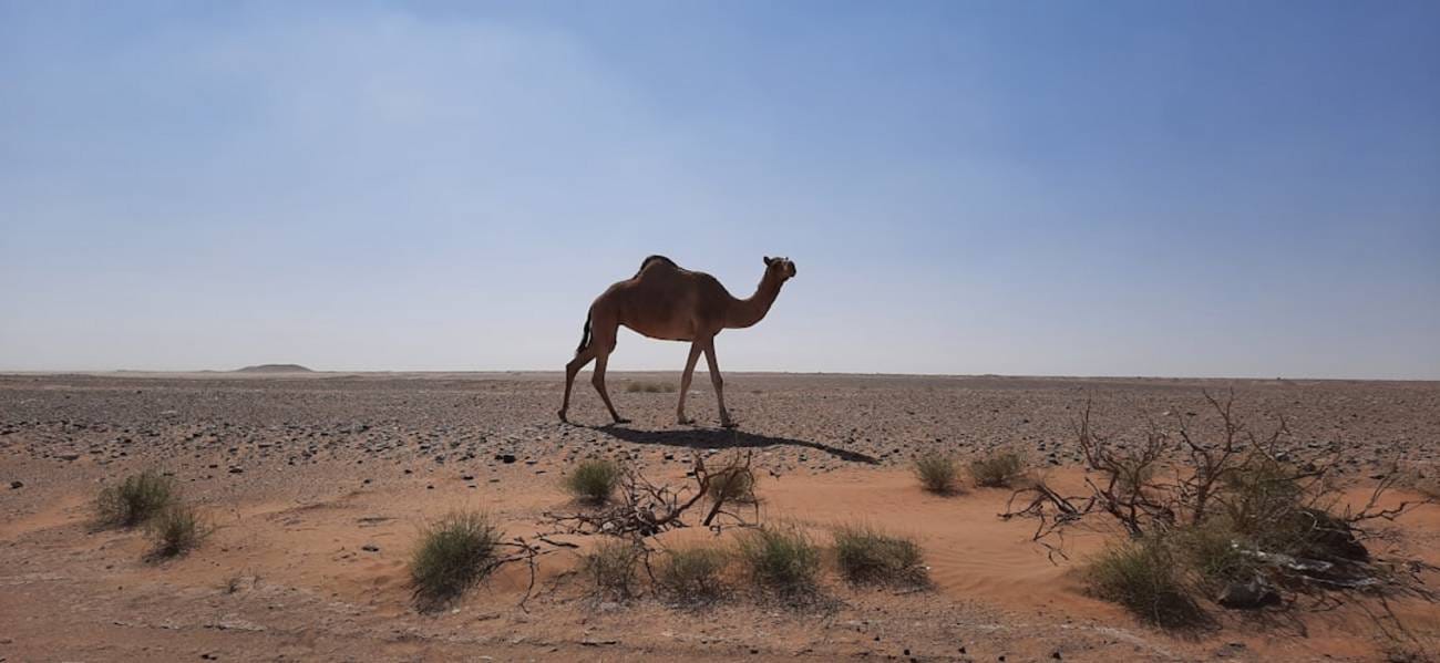 Mai Die gesetzlichen Feiertage in Oman im Monatsüberblick