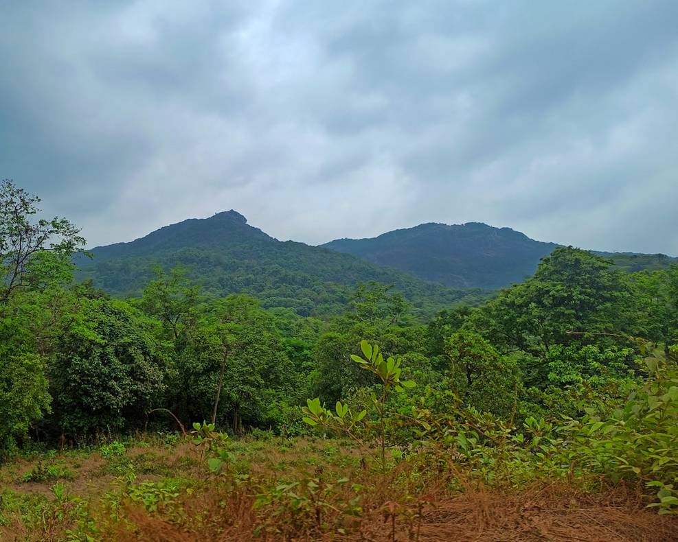 Spice Plantation Tour Goa