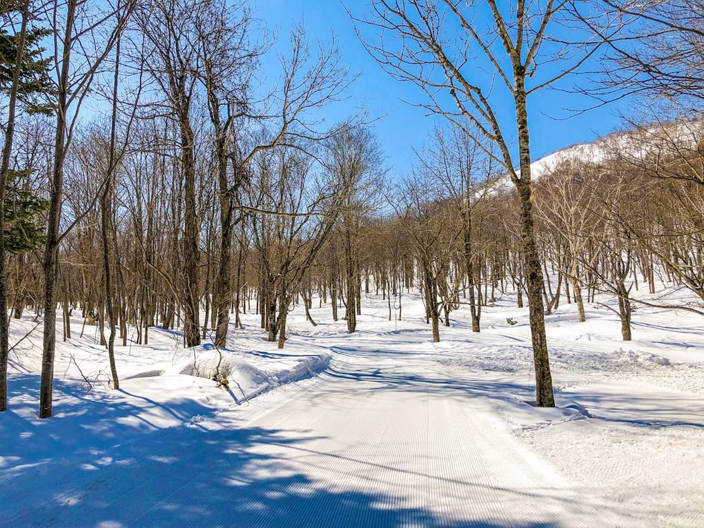 Wandern in Japan: Wie bereitest du dich auf die ultimative Tour vor? extra