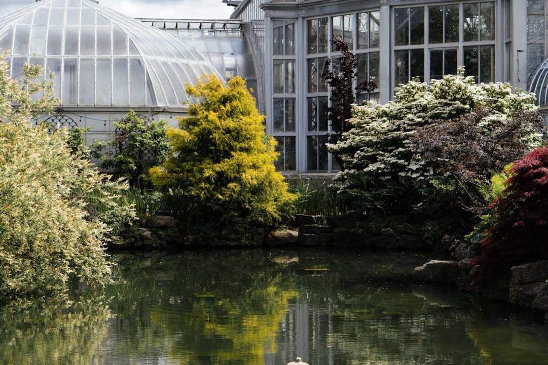 Die Bedeutung eines japanischen Gartens: Symbolik und Etikette erklärt details