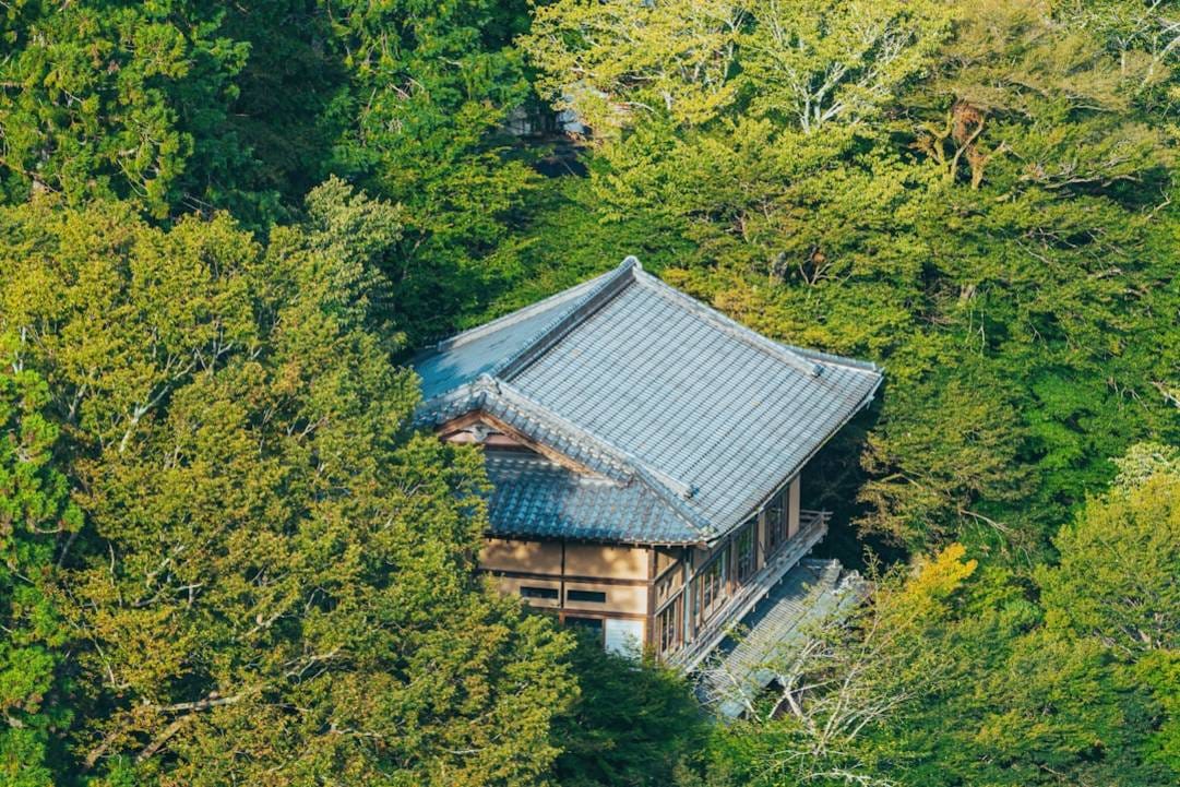 Wandern in Japan: Wie bereitest du dich auf die ultimative Tour vor? overview