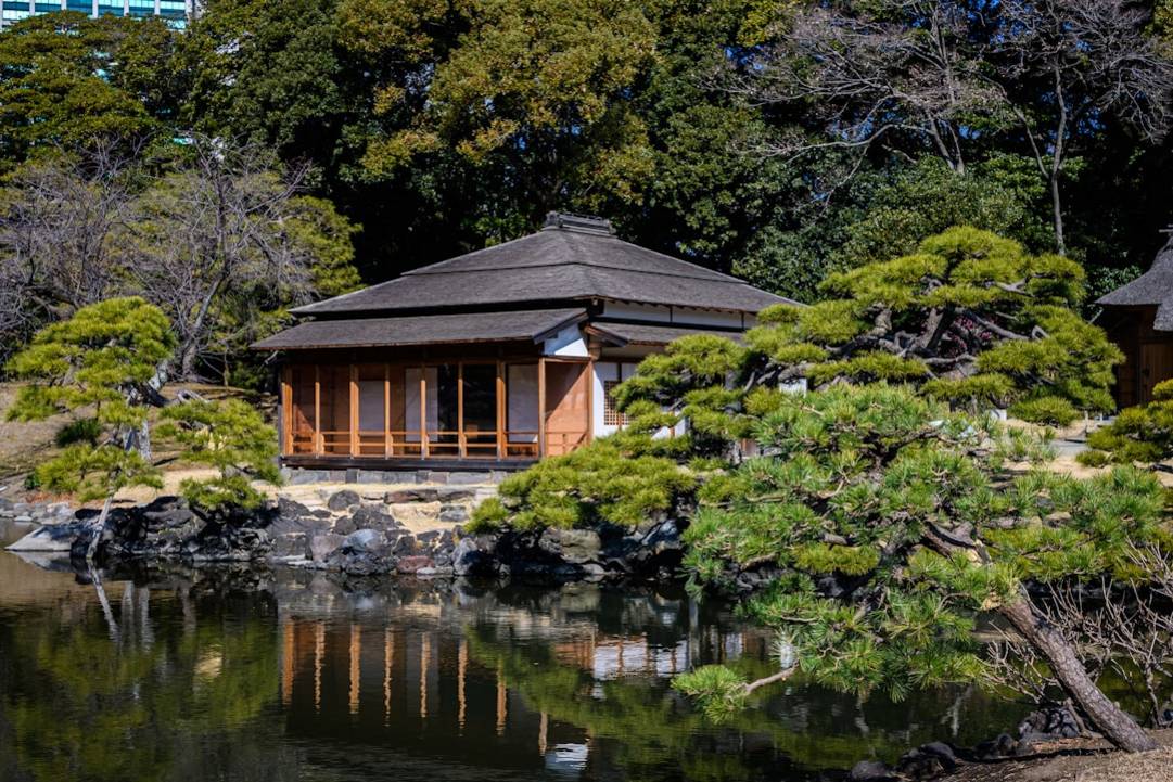 Die Bedeutung eines japanischen Gartens: Symbolik und Etikette erklärt preparation