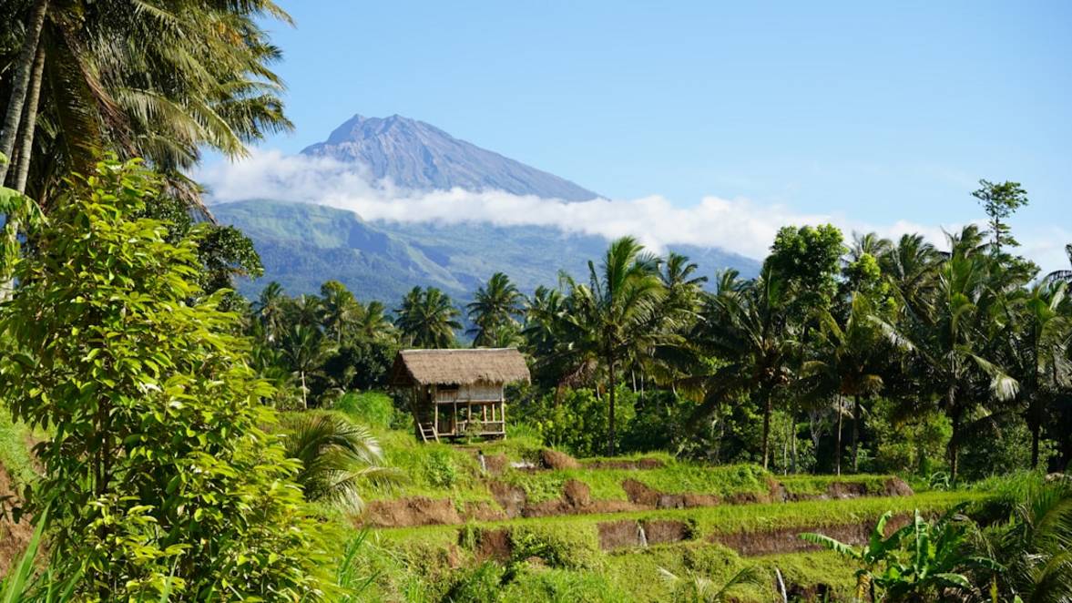 Wie bezwingst du den Mount Rinjani auf Lombok? intro