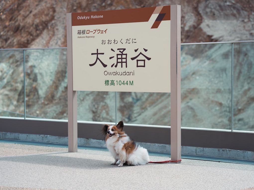 -Hakone Ropeway & Owakudanihakone-ropewayHakone