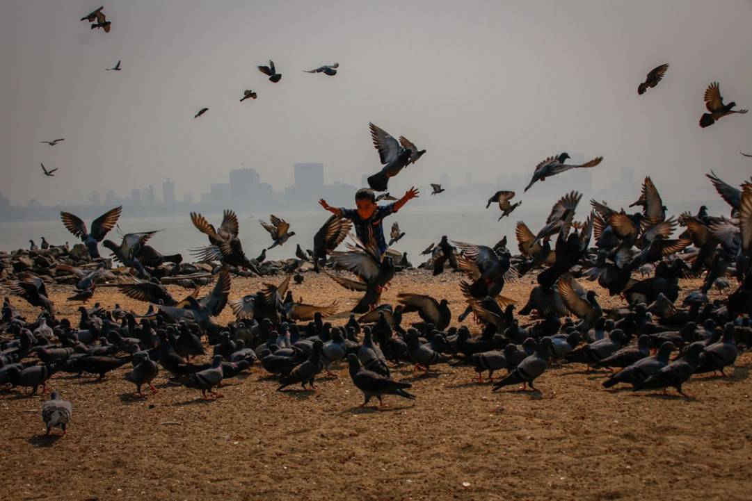 Gateway of Indiagateway-of-indiaMumbai details