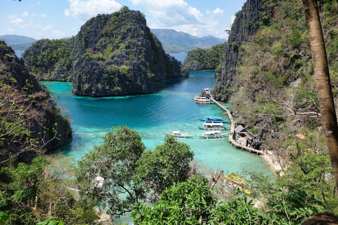 El Nido Coron vibe-audience