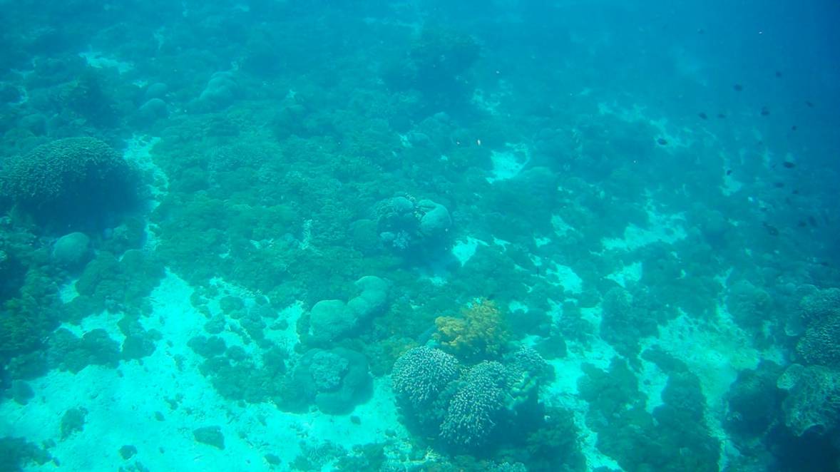 Raja Ampat Tauchenraja-ampat-tauchenRaja Ampat highlights