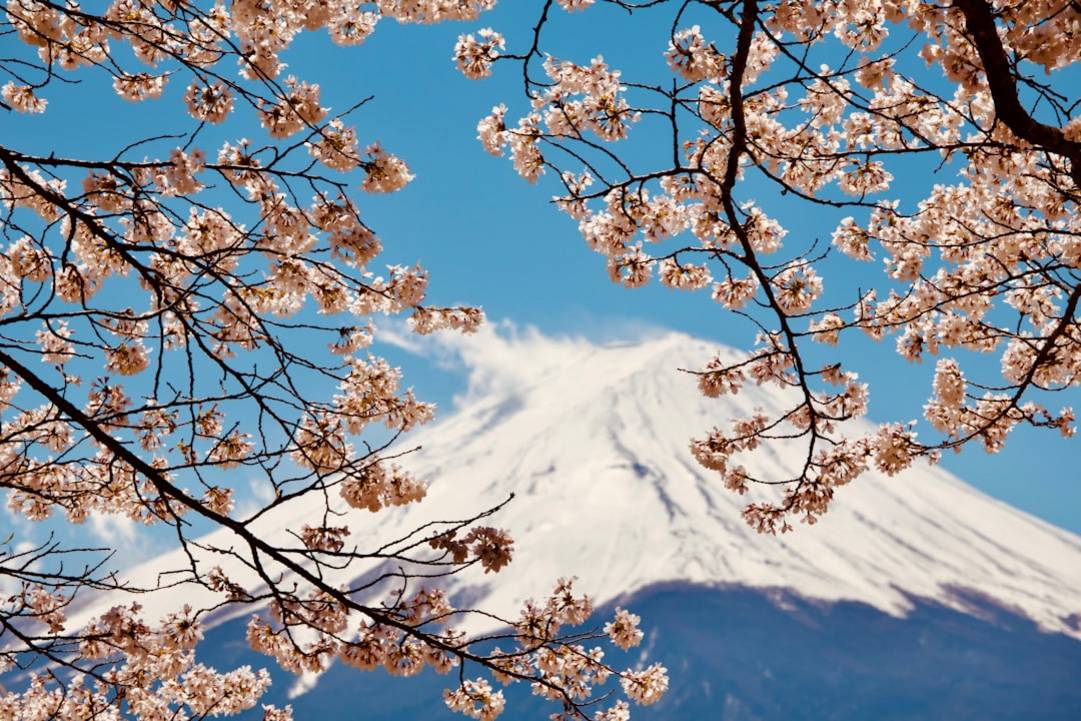 Chureito Pagodechureito-pagodeFujikawaguchiko details