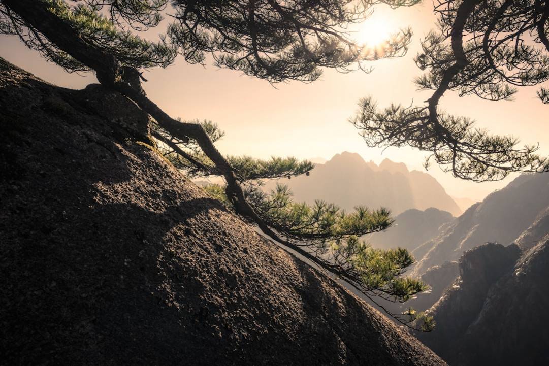 Gelbe Berge (Huangshan)gelbe-berge-huangshanHuangshan scenery