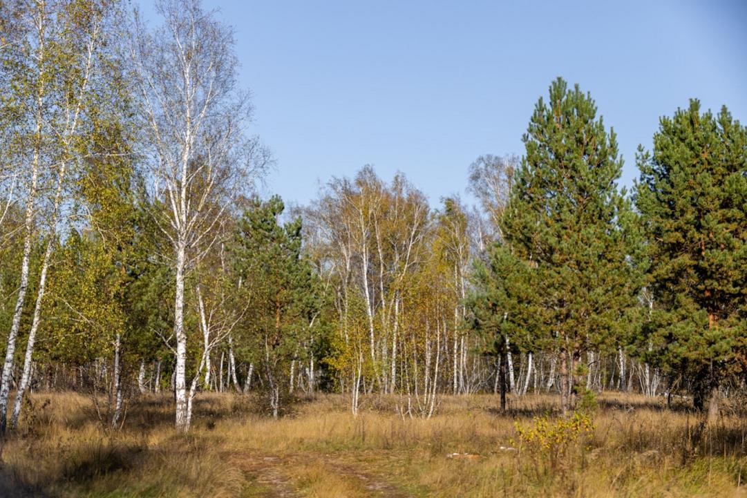 Armenia activities and tours