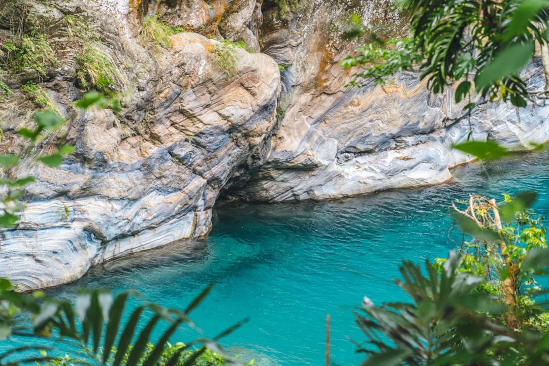 nature Japan vs Taiwan