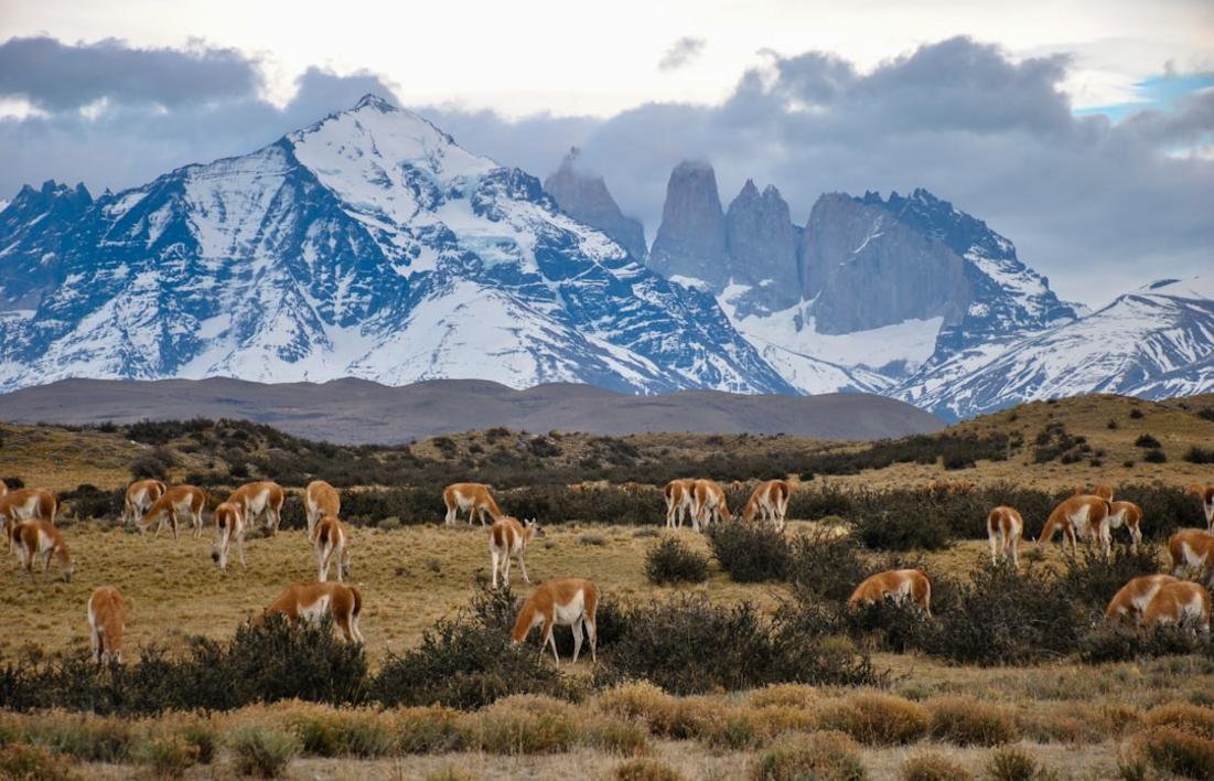 nature Argentinien vs Chile