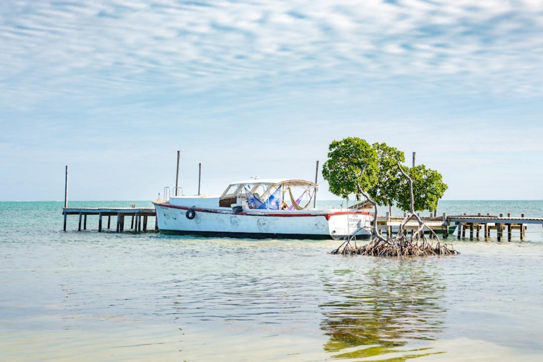nature Mexiko vs Belize