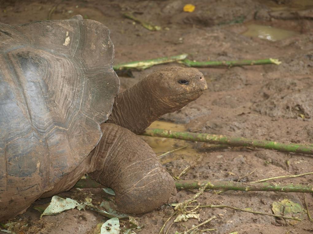 Peru and Ecuador nature